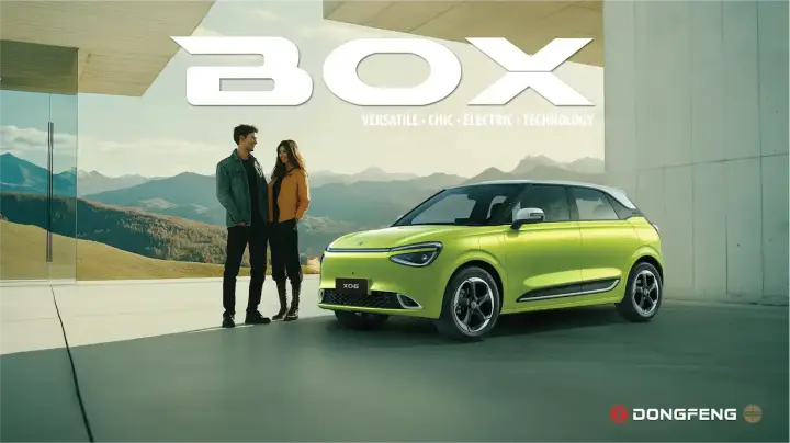 DongFeng — image 4