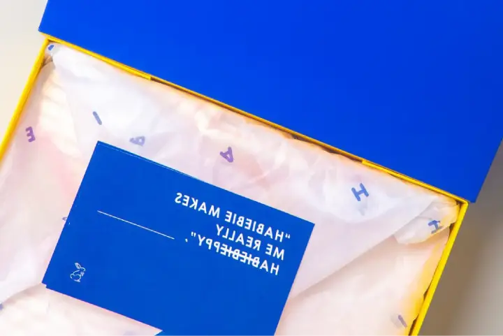 Habiebie Campaign — image 3