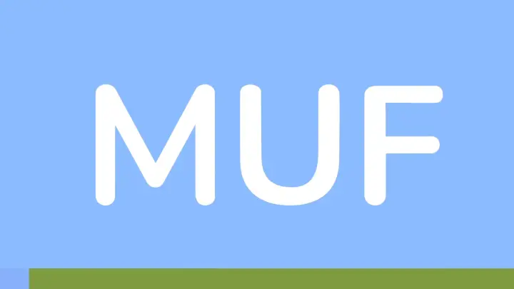 MUF — image 33