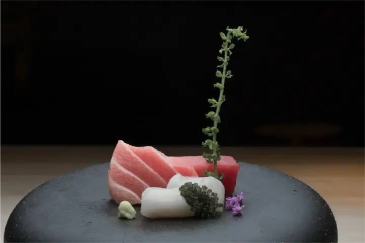 Sushi Ryu Campaign — image 3